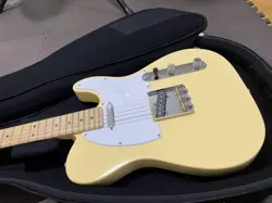 PERFORMER TELECASTER SAFE