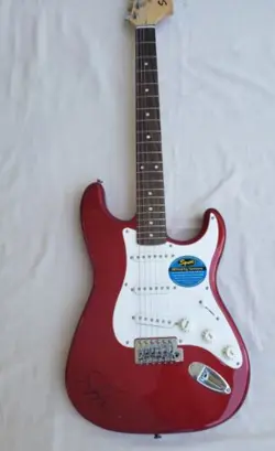 SHEPHERD STRATOCASTER ELECTRIC