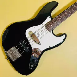 BARTOLINI PICKUP SAFE