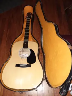 DREADNAUGHT GUITAR W/CASE