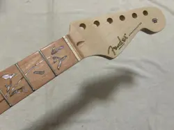 FRET GLOSS STRAT