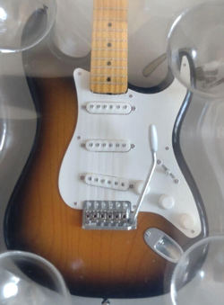 1954 STRATOCASTER CASE