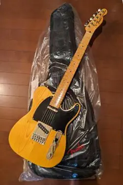 ELECTRIC GUITAR TLM
