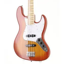 LAS 2004-2005 ELECTRIC