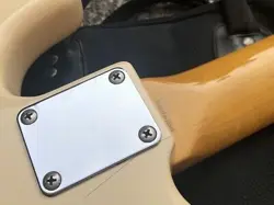 BASS CUSTOM FENDER