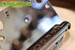 MUSTANG SUNBURST SAFE