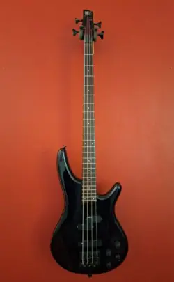 FUJIGEN W/FENDER GIG