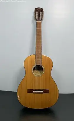 FENDER FA-SERIES BROWN