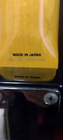 JM66 JAZZMASTER SAFE