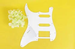 PICKGUARD HSS FOR