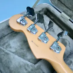 BLACK W/MAPLE FINGERBOARD