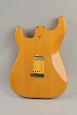 STRATOCASTER SWAMP