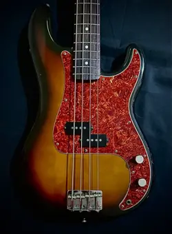 1989 BASS
