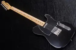 1988-1989 BASSWOOD BODY