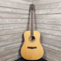 FENDER PM-1E DREADNOUGHT