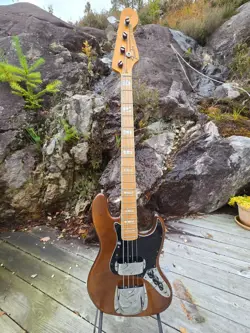 FENDER '73