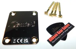 FENDER SQUIER TELECASTER NECK PLATE GOLD TROUBLEMAKER GUITAR PARTS PROJECT TELE