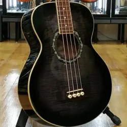 FENDER / T-BUCKET BASS E