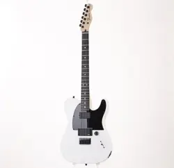 FENDER ARTIST SERIES JIM ROOT TELECASTER FLAT WHITE SAFE DELIVERY FROM JAPAN