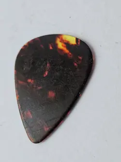 FENDER HEAVY TORTOISE