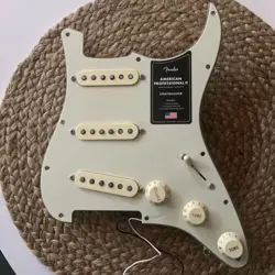 PROFESSIONAL II LOADED