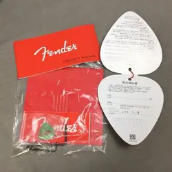 JR. SIGNATURE STRATOCASTER