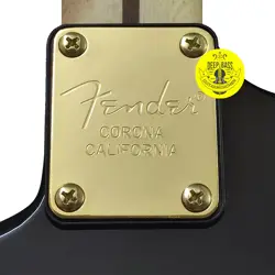 GOLD ENGRAVED FENDER