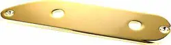 WD CONTROL PLATE FOR FENDER TELECASTER BASS GOLD