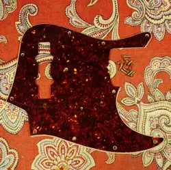 TORTOISE PICKGUARD W/