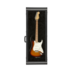 FENDER GUITAR DISPLAY