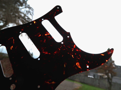 59 10 HOLE  FENDER STRATOCASTER CELLULOID SOLID TORTOISE PICKGUARD  STRAT USA