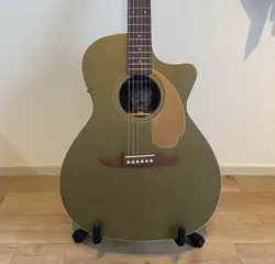 ACOUSTIC GUITAR FENDER DISCONTINUED COLOR