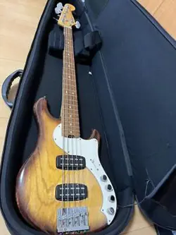 DIMENSION BASS STRING