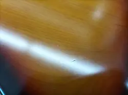 FENDER JG65B-LTD/VSP