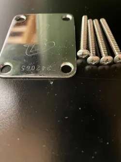 PLATE SCREWS VINTAGE