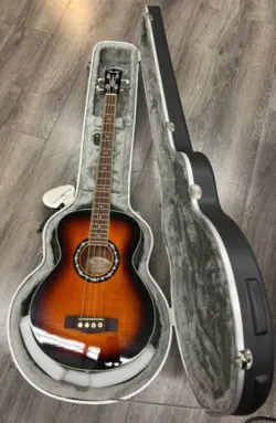 RUNNER HOLLOWBODY CASE!