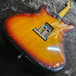 STRATOCASTER 3TS TONE