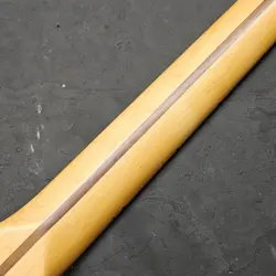 ONE STRATOCASTER USA