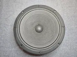 AMPLIFIER ORIGINAL SPEAKER