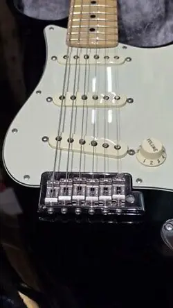 PROFESSIONAL STRATOCASTER W/