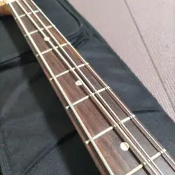 RARE ELECTRIC BASS