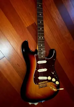 MAYER STRATOCASTER BUILD