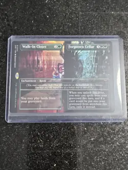 Walk-In Closet / Forgotten Cellar Borderless - DSK 0341 - NM - MTG Magic - Image 1