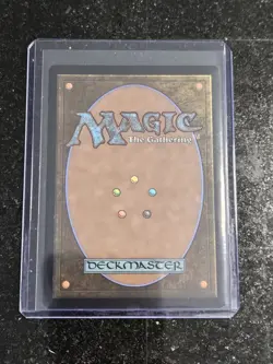 Walk-In Closet / Forgotten Cellar Borderless - DSK 0341 - NM - MTG Magic - Image 2