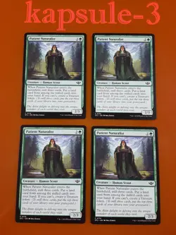 4x Patient Naturalist | Outlaws of Thunder Junction | MTG Magic Cards - Image 1