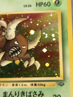 Pinsir Holo Rare Japanese Card Jungle No. 127 LP front/MP back - Image 5