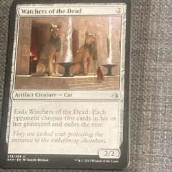 Watchers of the Dead - Amonkhet - AKH - 238/269 - MTG - Image 1
