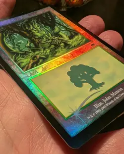Forest *Foil* - LP - Onslaught - MTG - Image 4