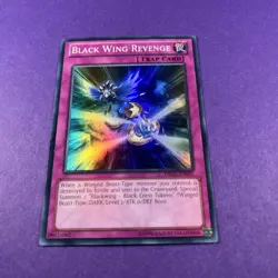 Black Wing Revenge Super Rare Dragons of Legend DRLG-EN031 Yugioh Trading Card - Image 1