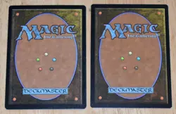 MTG 2x White Rare Instant Secure the Wastes & Settle the Wreckage - Image 3